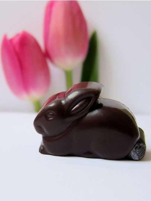 bunny1 bunny1